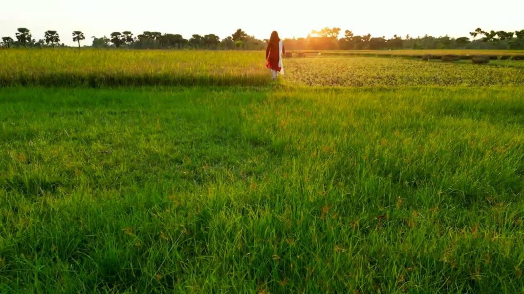 Zambaulim Devasthan